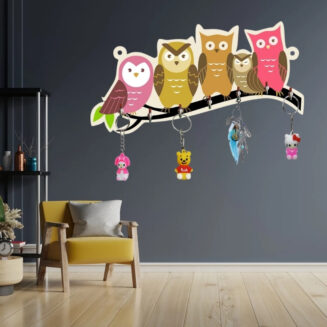 Owl Eye Key Holder Home Decore